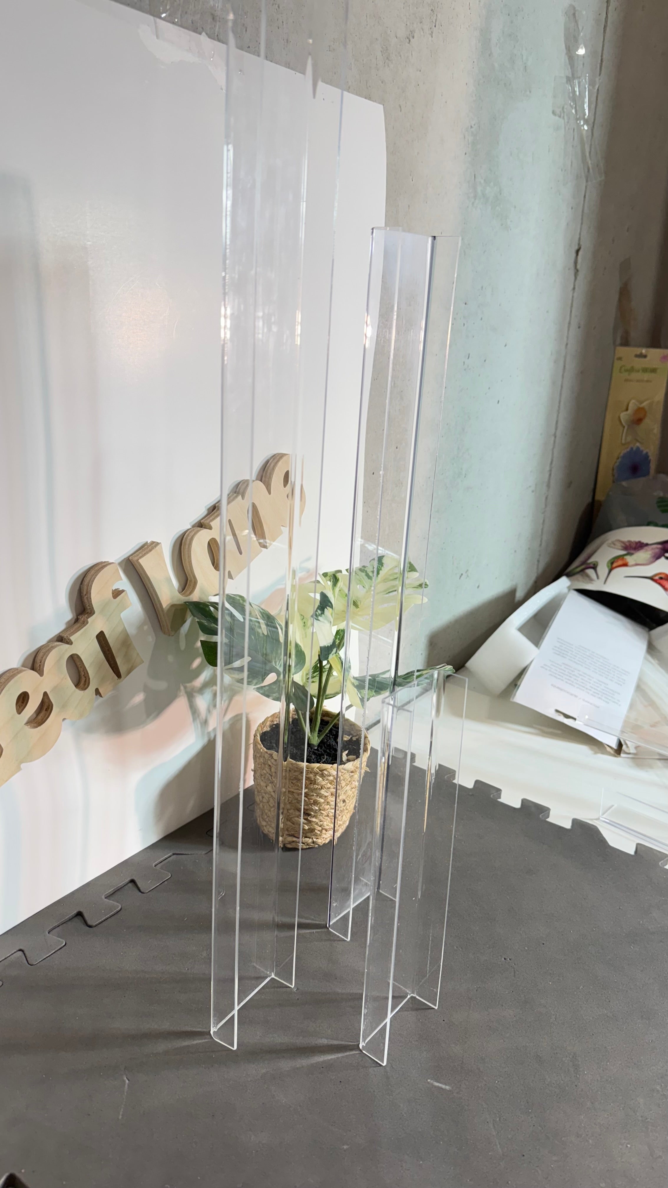 Premium Acrylic Moss Poles – LeafLane Rare Plants